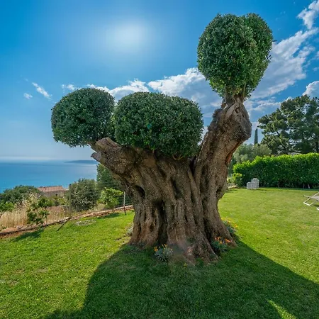 Dom wakacyjny Lourdas Bay View